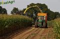 Ensilage de maïs 2012 (Evrard)