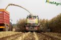 Ensilage de maïs 2012 (Vital Laschet & fils)
