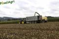 Ensilage de maïs 2013 (Lambotte, Georis & Noirhomme)
